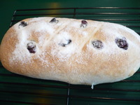 Breads_002
