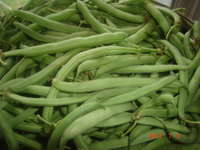 Fresh_green_beans
